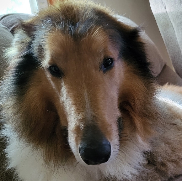 PLSreadBEFOREbuying! - Picture 1 of 16